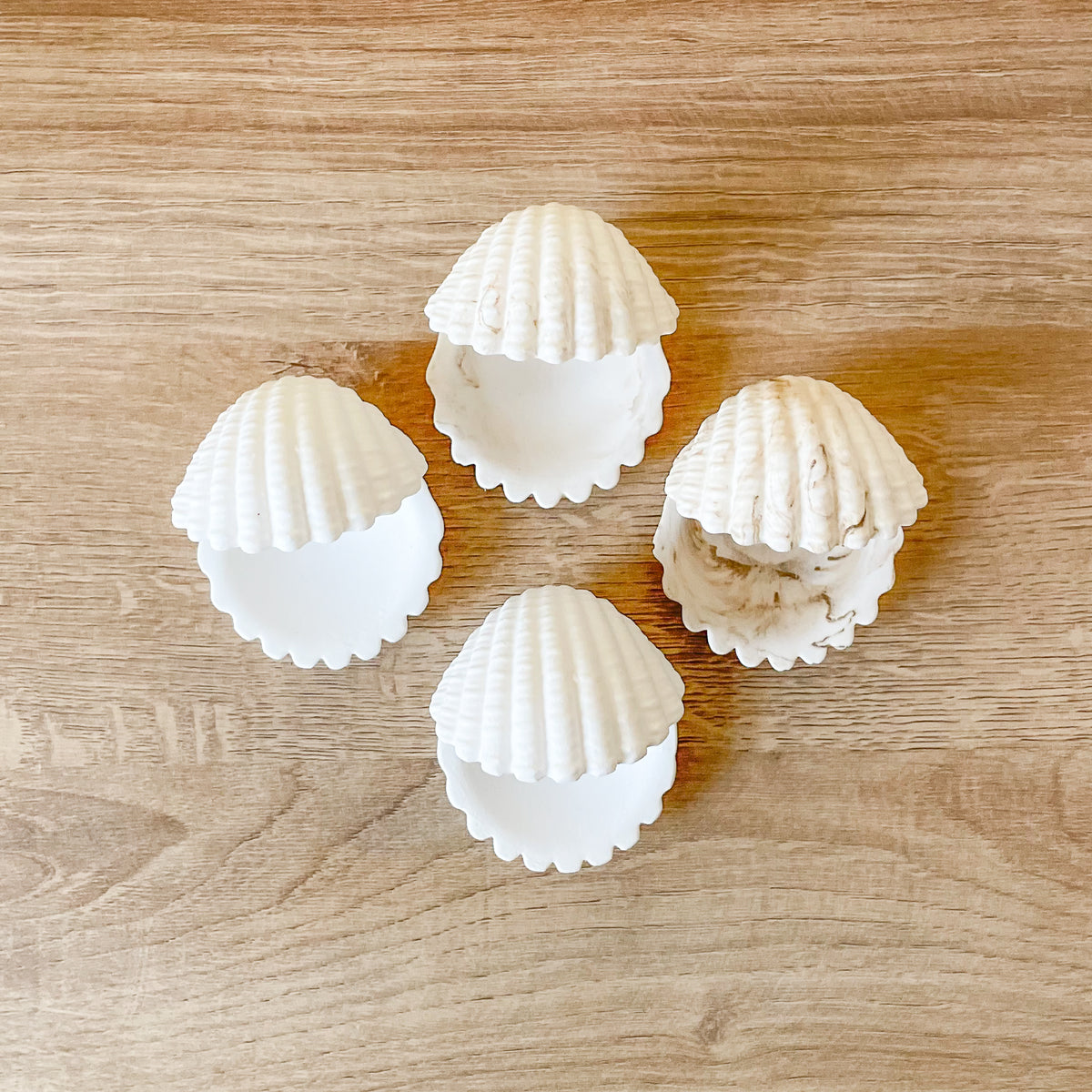 kleine schmuckschalen mini muschel