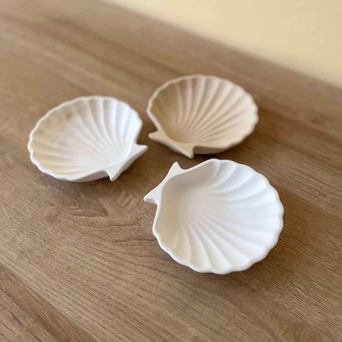 schmuckschalen muscheln