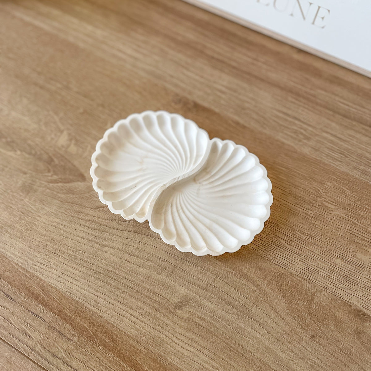 schmuckschale muschel form weiss