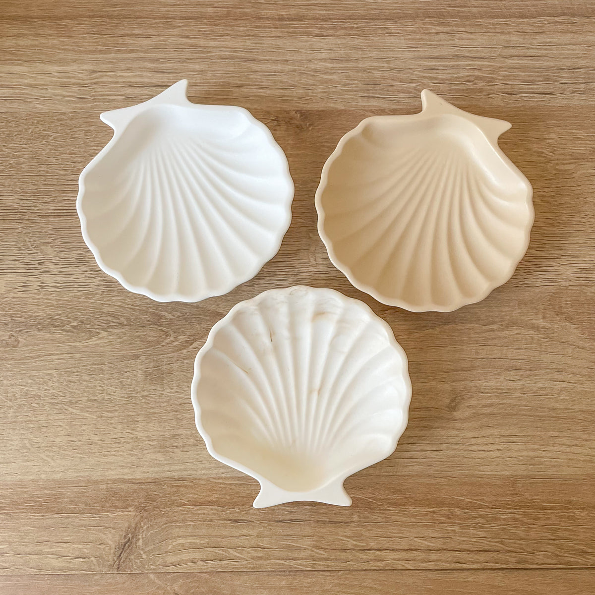 muscheln schmuckschalen