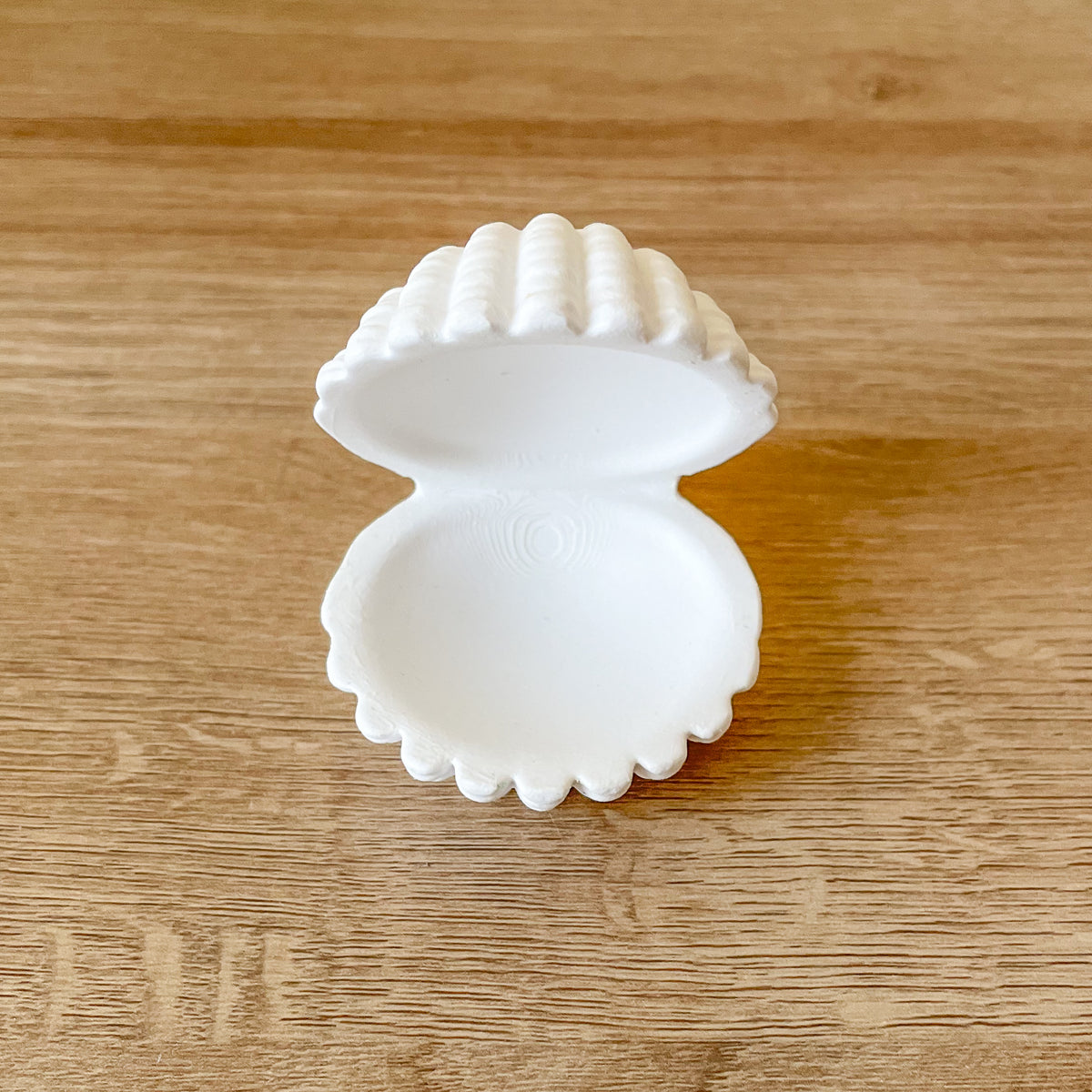schmuckschale muschel weiss