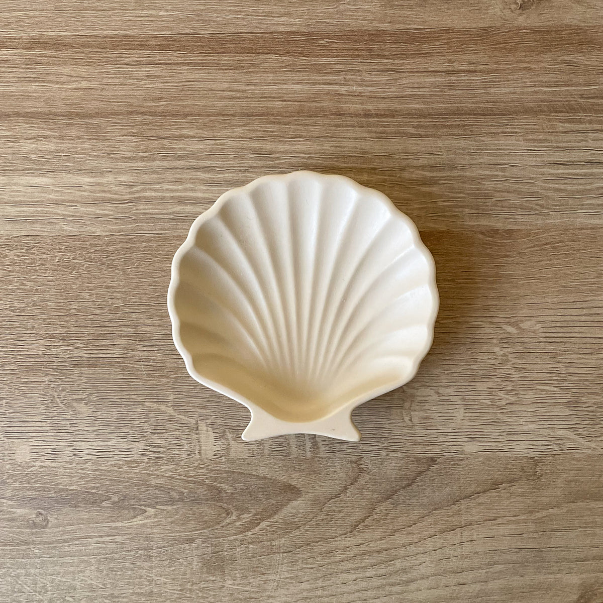 muschel schmuckschale beige