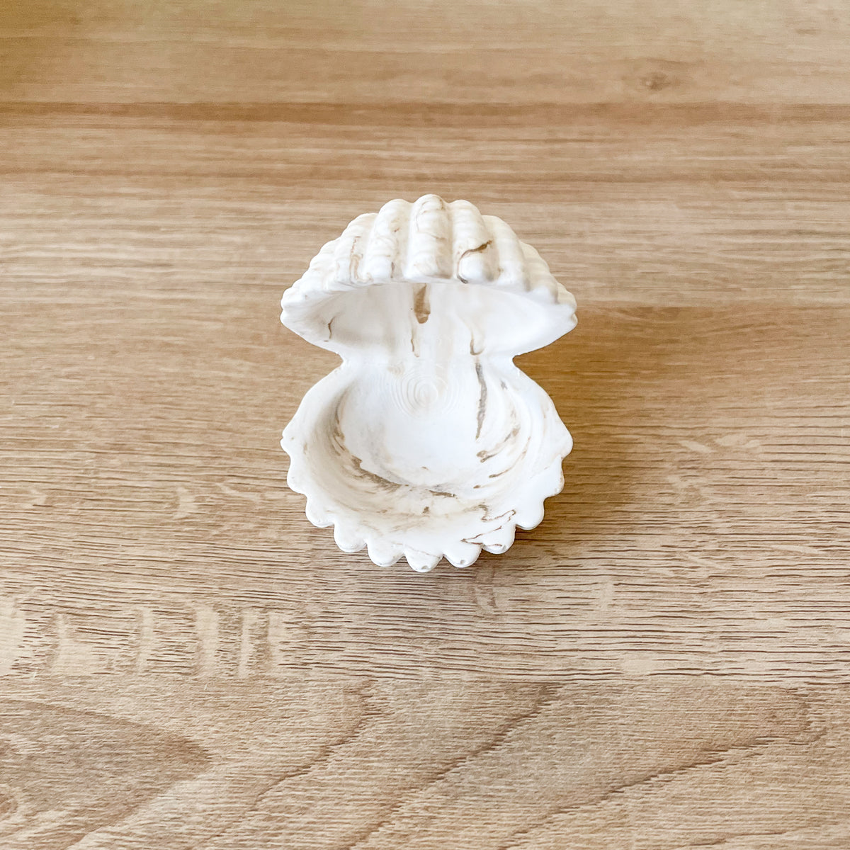 kleine muschel schmuckschale